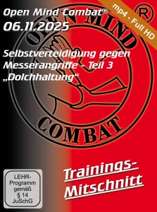 Training-Selbstverteidigung-gegen-Messerangriffe---Teil-3-quotDolchhaltungquot