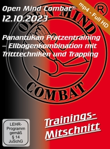Training--Pratzentraining---Ellbogenkombination-mit-Tritttechniken-und-Trapping
